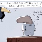 Vignetta di Portos