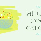 Insalata lattuga, ceci, carote