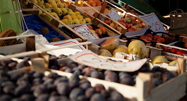 Il mercato coperto di Gorizia - Festival Vegetariano 2013