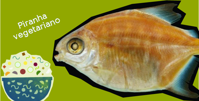 Piranha vegetariano