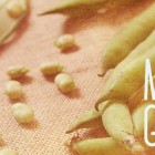 Frutta e verdura di stagione a maggio