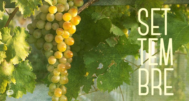 Scopri la frutta e verdura di stagione