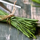 Erba cipollina - Ricette, Coltivazione, Proprietà