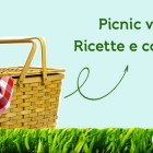 pic nic vegetariano