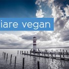 viaggiare-vegan