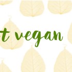 Oggetti vegani