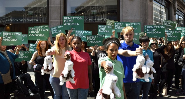 Campagna PETA contro la lana d'angora di Benetton