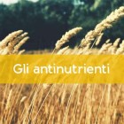 Antinutrienti