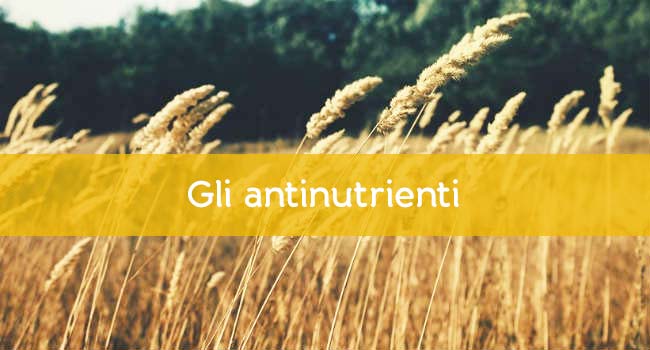 Antinutrienti