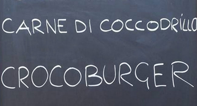 Carne di coccodrillo