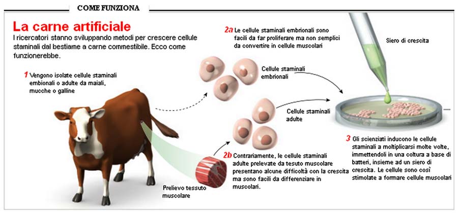 carne in vitro