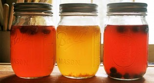 Come fare il kombucha