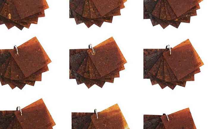 fruit leather