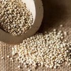 quinoa-proprità e valori nutrizionali