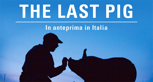 The last pig