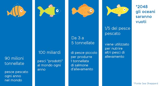 pesci-Infografica