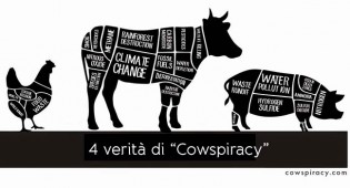 COWSPIRACY Dati