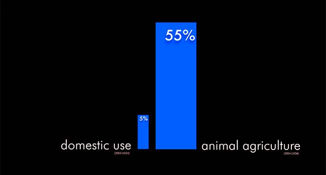 Carne e consumo di acqua