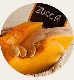 zucca