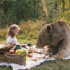 Orso Vegetariano