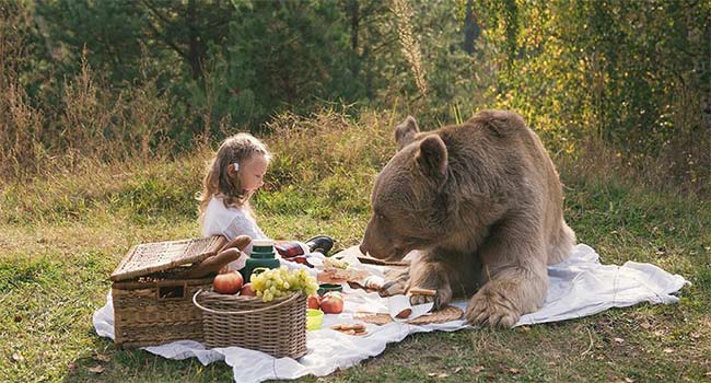 Orso Vegetariano