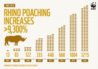 rhino_infographic__sa_1215