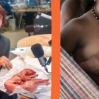 maschi vegan