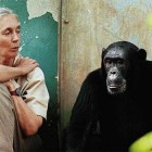 Jane Goodall vegetariana
