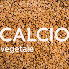 Alimenti vegetali ricchi di calcio