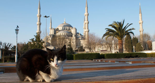 turchia-moschea