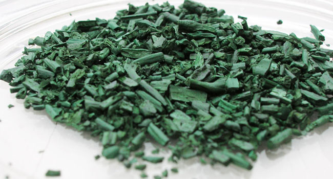 alga spirulina