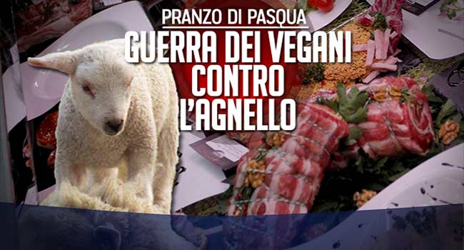 Porta a Porta vegani agnello