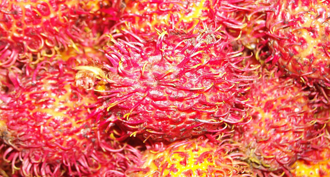 rambutan