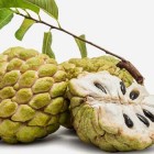 annona