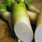 daikon