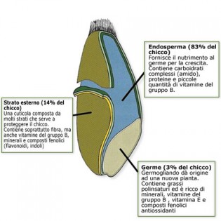 difarineantiche02