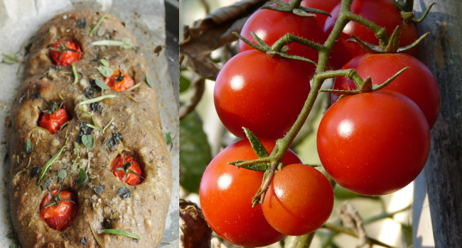 focaccia pomodorino