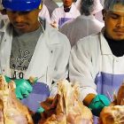 Condizione lavoratori industria carne