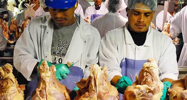 Condizione lavoratori industria carne