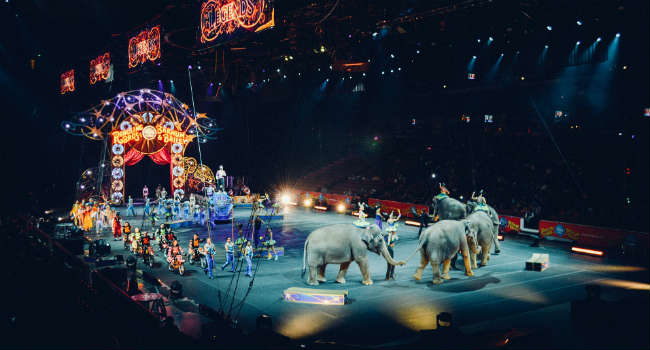 circus-828680_1920