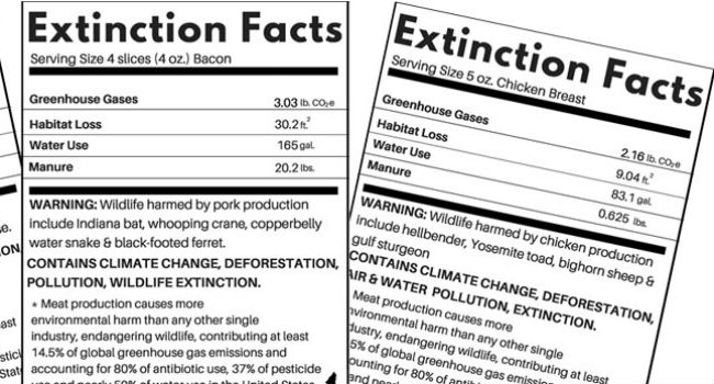 extincion facts