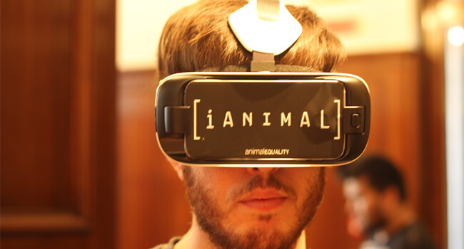 iAnimal