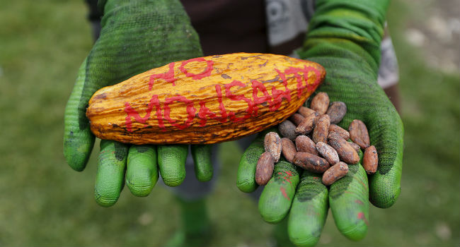 monsanto