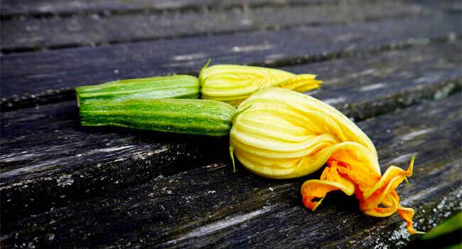 Zucchine ricette