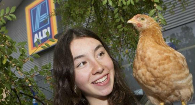 angelina galline aldi australia