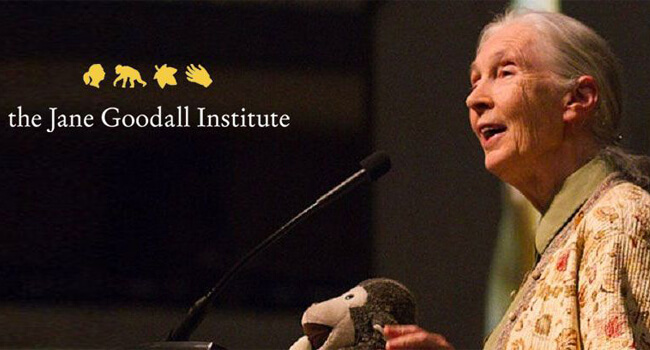 janegoodall