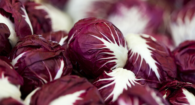 radicchio