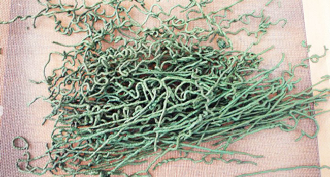 Alga spirulina