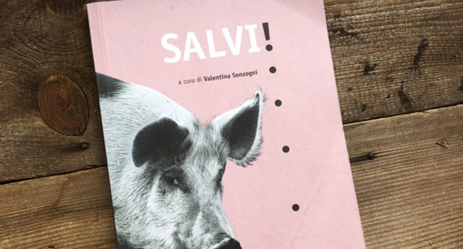 Salvi Safarà Editore