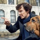 Sherlock-cane